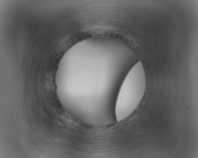X0000051860964200506240958