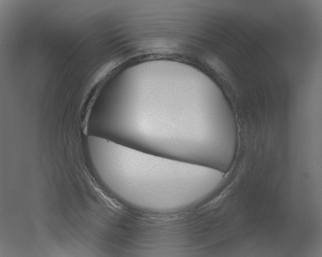 X0000051860970200506240958