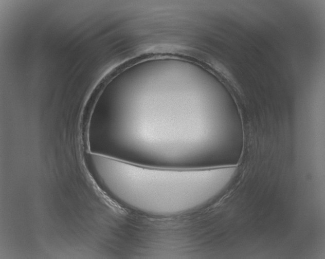 X0000051860976200506240958