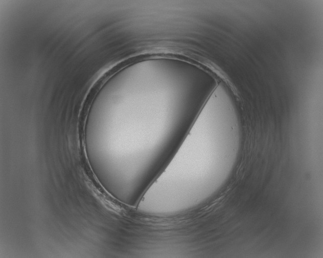 X0000051860980200506240958
