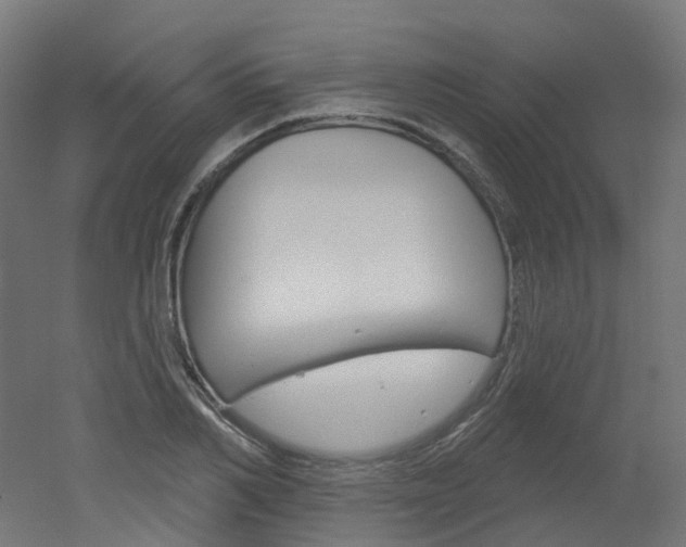 X0000051860982200506240958