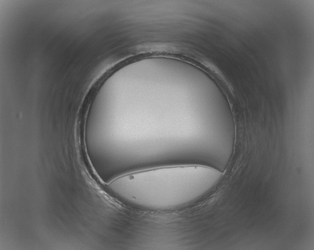 X0000051860983200506240958