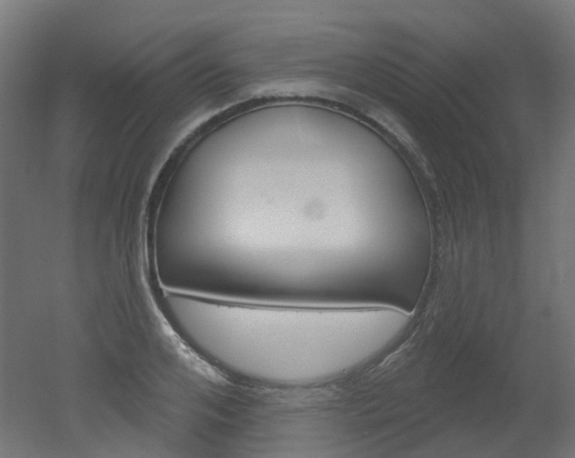 X0000051860984200506240958