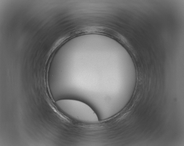 X0000051860986200506240958