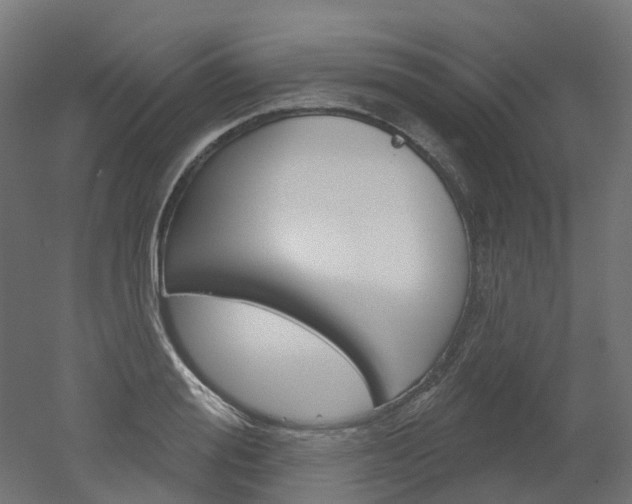 X0000051860988200506240958