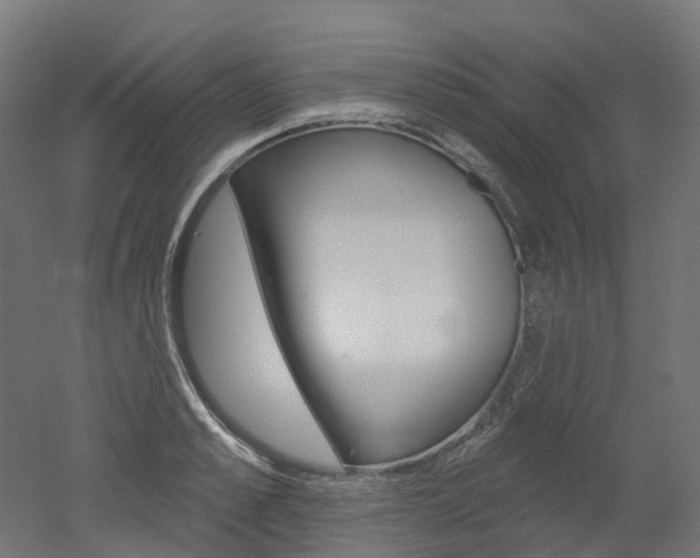 X0000051860989200506240957