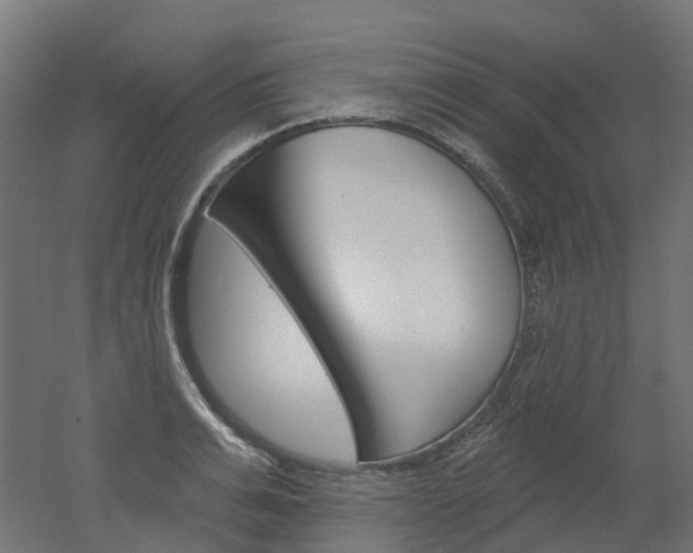 X0000051860991200506240957