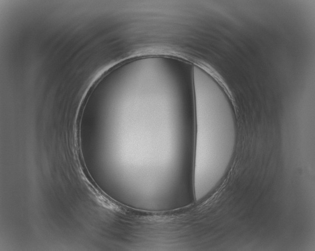 X0000051860996200506240957