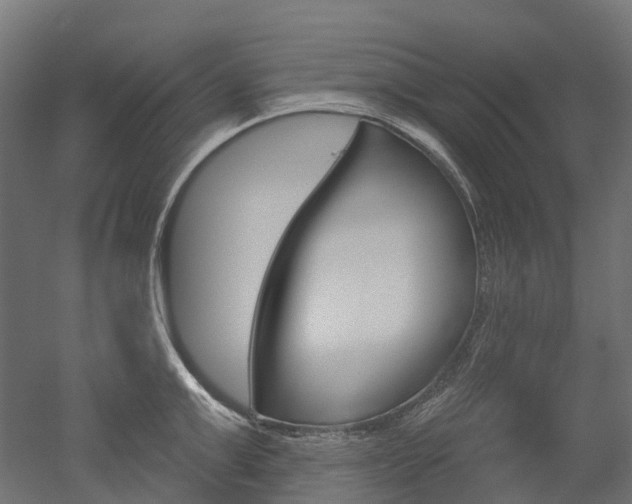 X0000051860999200506240957
