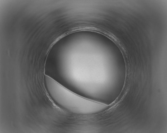 X0000051861001200506240957