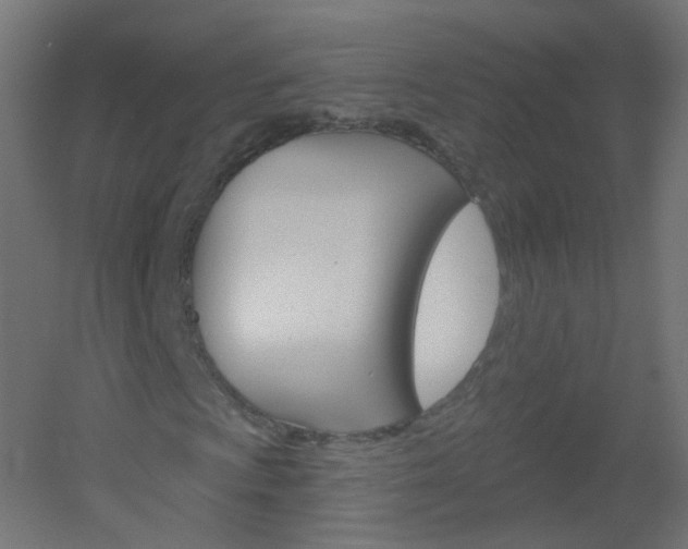 X0000051861009200506240956