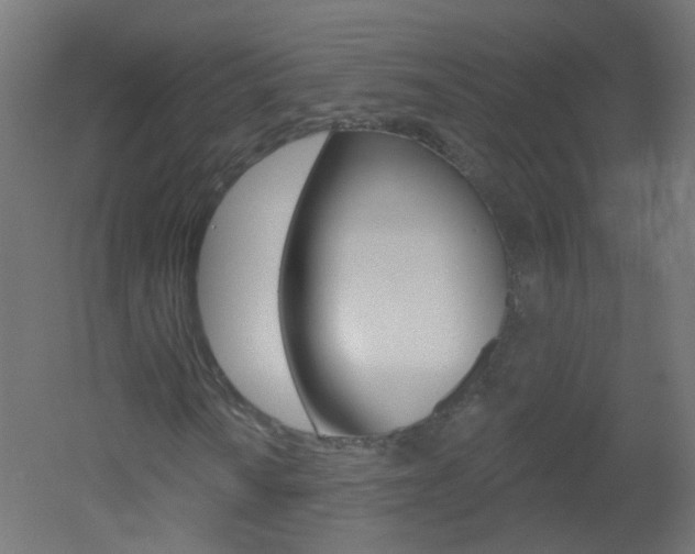 X0000051861010200506240956