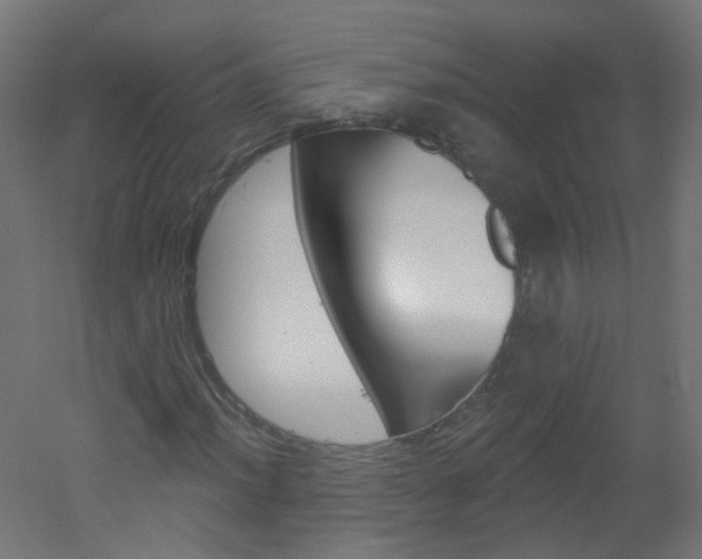X0000051861012200506240956