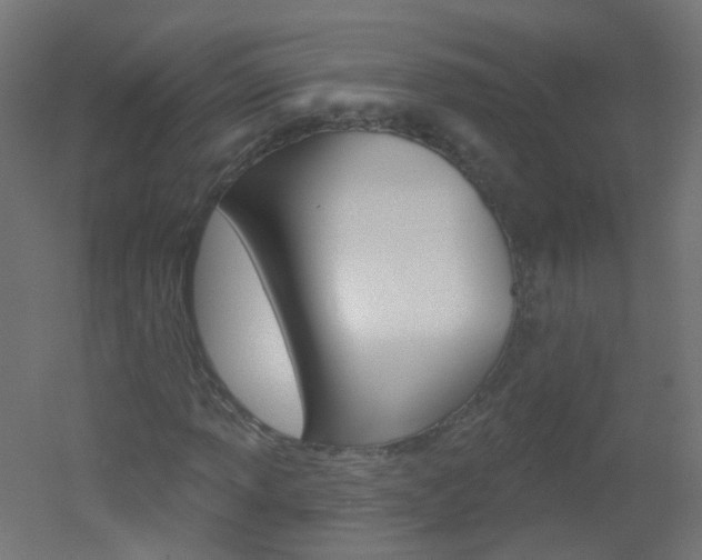 X0000051861013200506240956