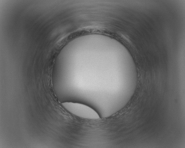 X0000051861015200506240956