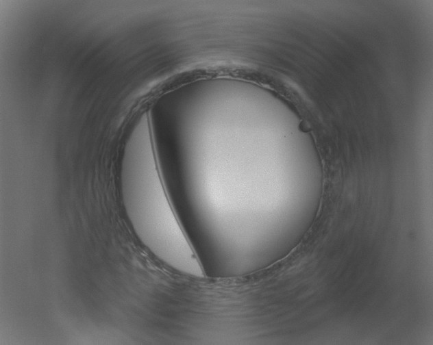 X0000051861016200506240956