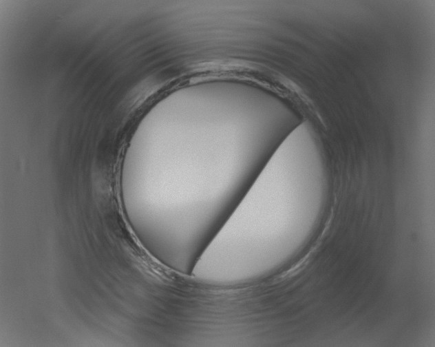 X0000051861017200506240956