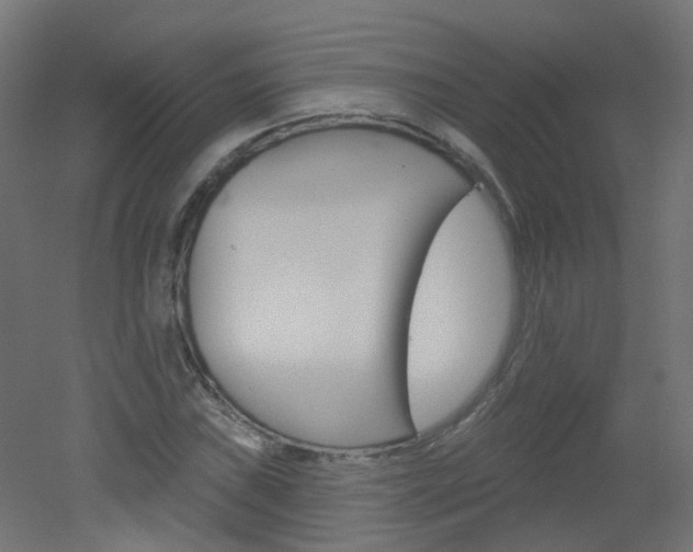 X0000051861019200506240957