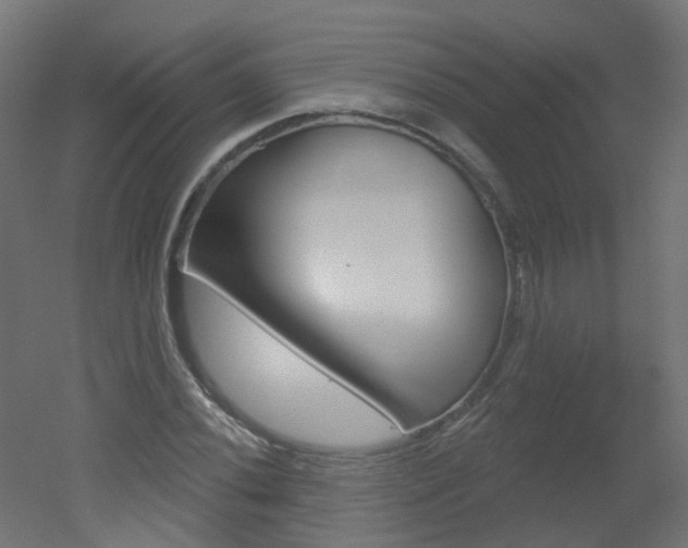 X0000051861020200506240957