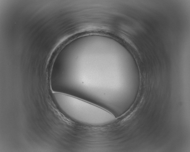 X0000051861021200506240957