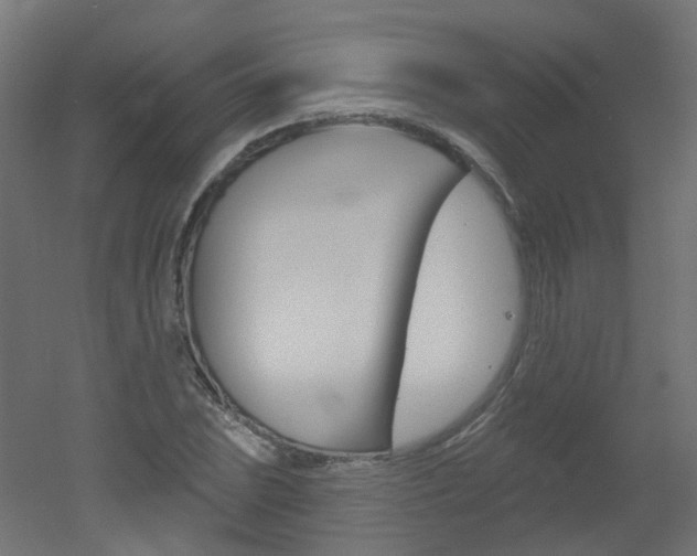 X0000051861023200506240957