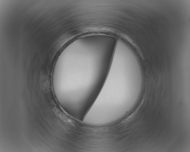 X0000051861025200506240957