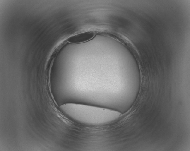 X0000051861027200506240957