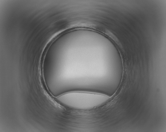 X0000051861028200506240957