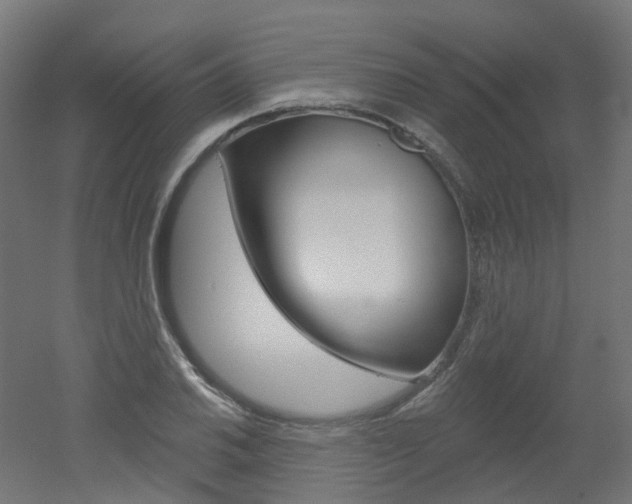 X0000051861030200506240957