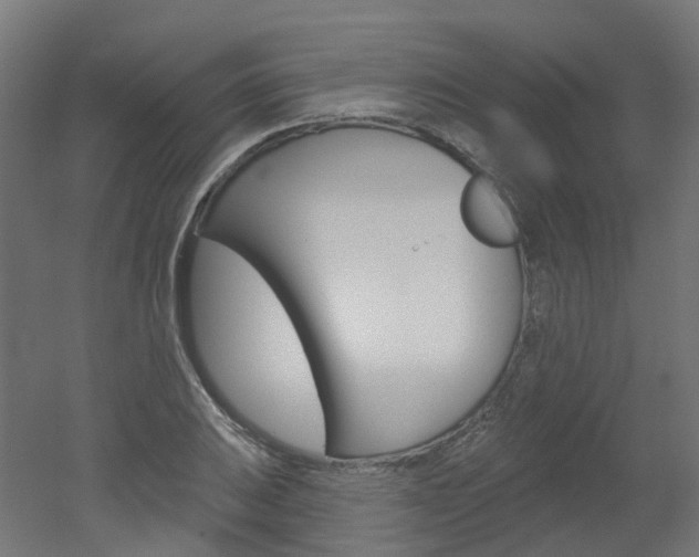 X0000051861031200506240957