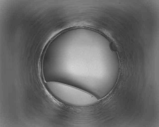 X0000051861032200506240957