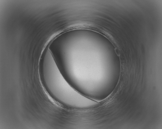 X0000051861034200506240957