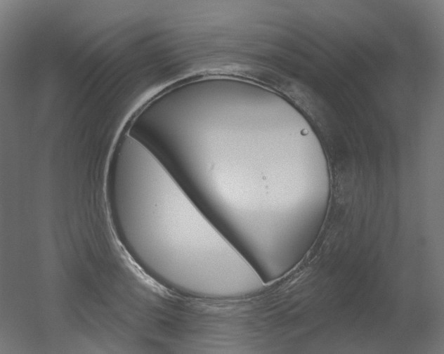 X0000051861036200506240957