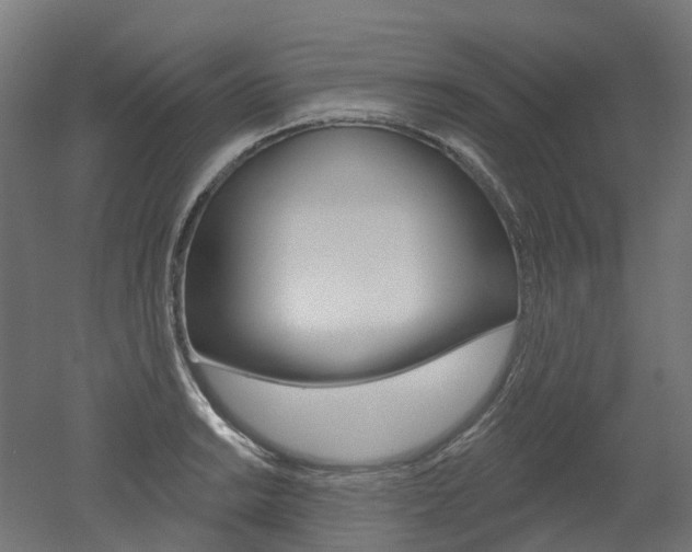 X0000051861038200506240957
