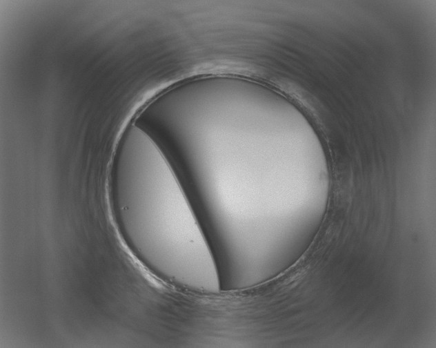 X0000051861040200506240957
