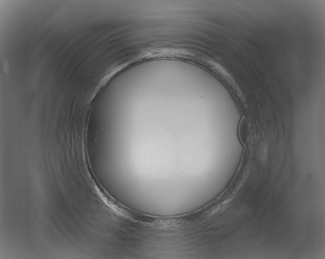 X0000051861041200506240957