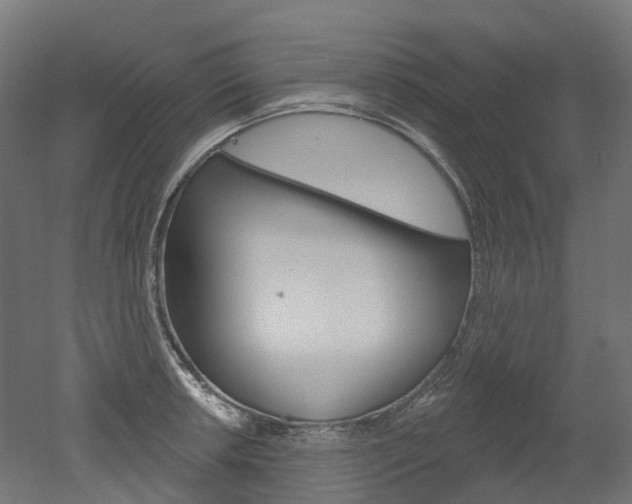 X0000051861042200506240957