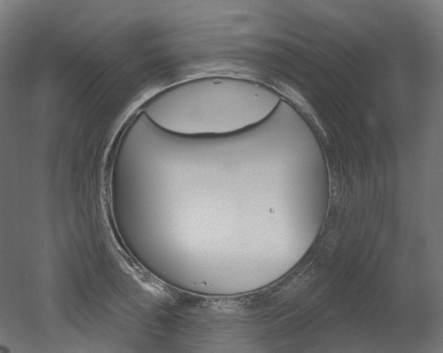 X0000051861043200506240957