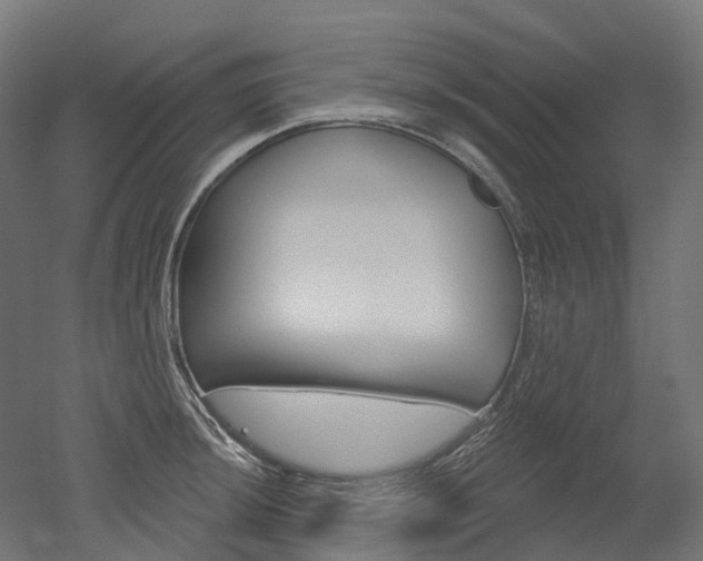 X0000051861044200506240957