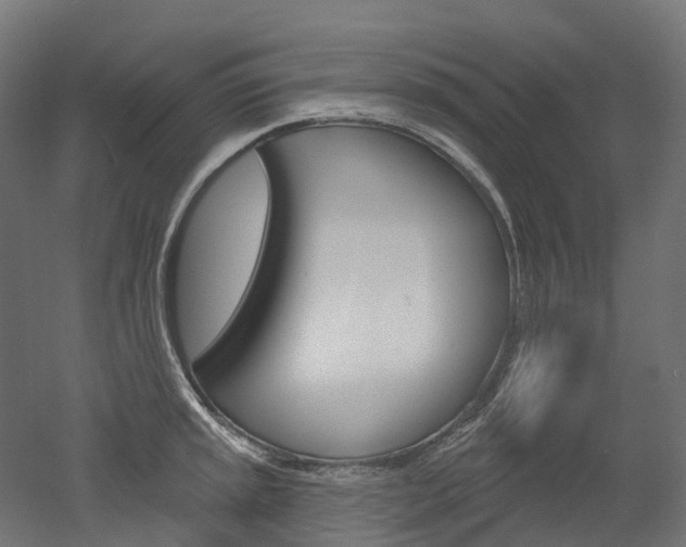 X0000051861045200506240957