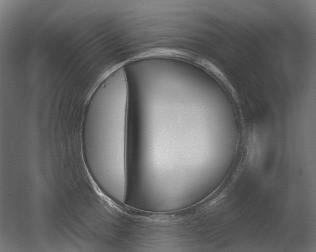 X0000051861049200506240957
