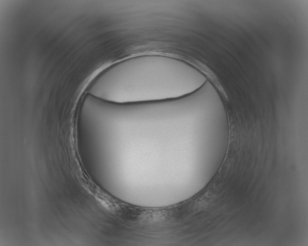 X0000051861051200506240957