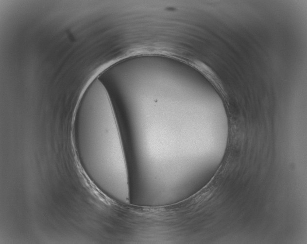 X0000051861052200506240957