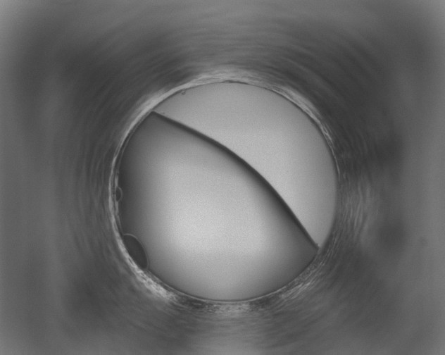 X0000051861055200506240957