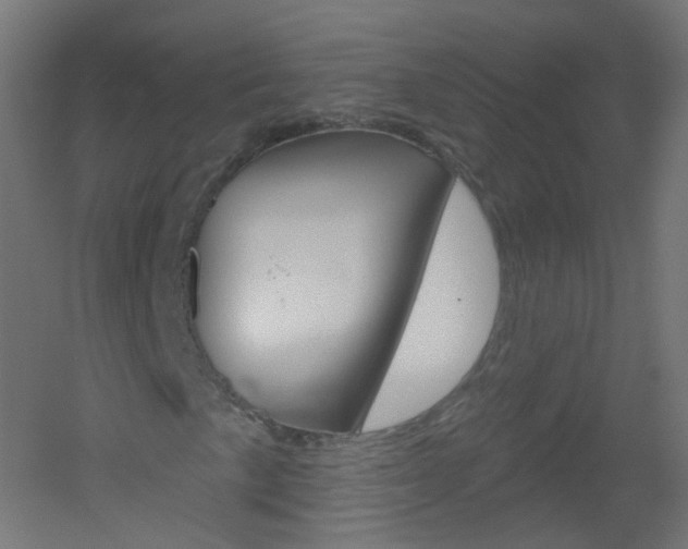 X0000051861057200506240956