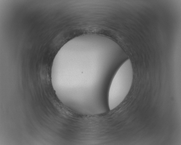 X0000051861058200506240956