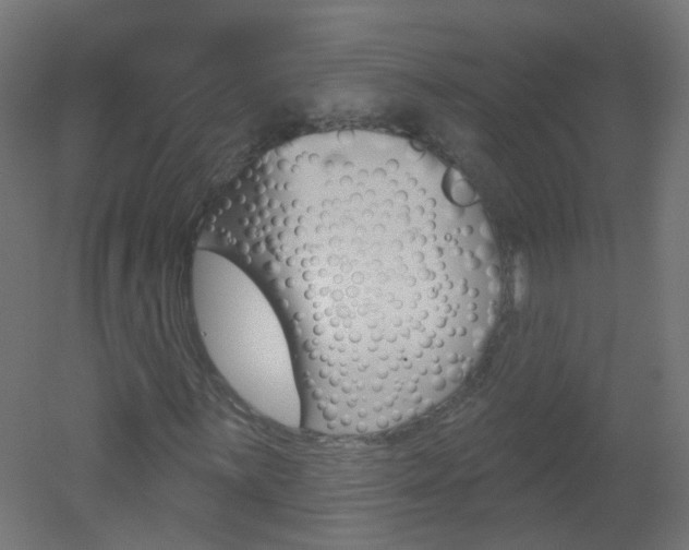 X0000051861059200506240956