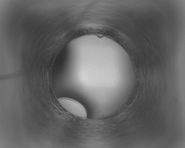 X0000051861061200506240956
