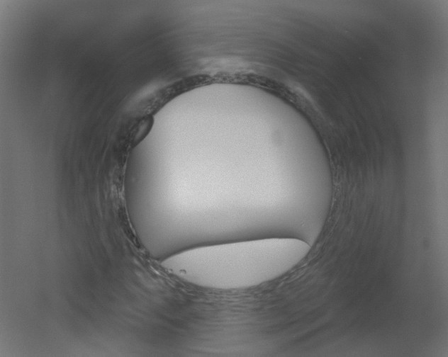 X0000051861063200506240956