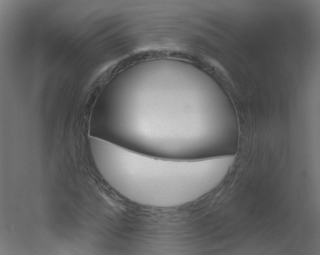 X0000051861064200506240956